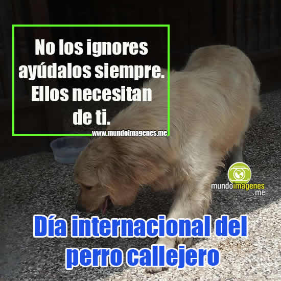 carteles-reflexiones-dia-internacional-perros